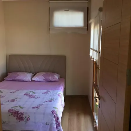 Kaptan Farm stay